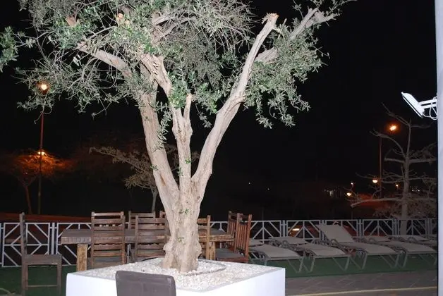 Neptun Dive Resort - Dış Mekan