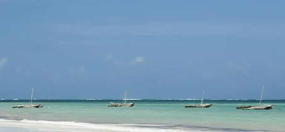 Neptune Paradise Beach Resort & Spa - Plaj