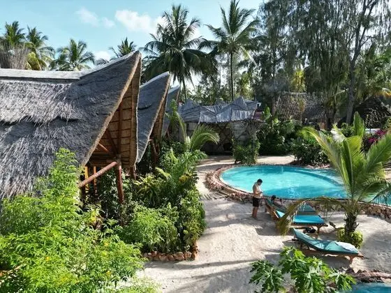 The Nest Boutique Hotel - Havuz