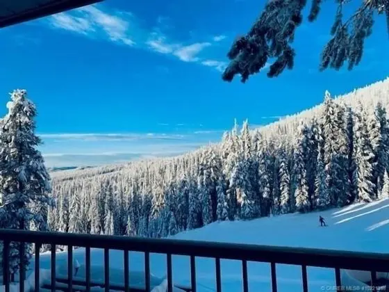 Nest on Perfection - Newly Renovated Ski In Ski Out Mountain View Condo