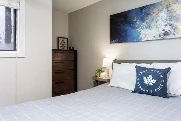 Nest on Perfection - Newly Renovated Ski In Ski Out Mountain View Condo - Oda