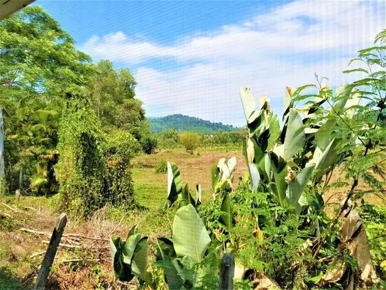 Nest Villa Phang Nga - Oda Manzaraları