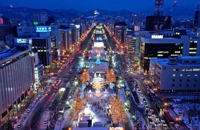 Nest Hotel Sapporo Odori - Dış Mekan