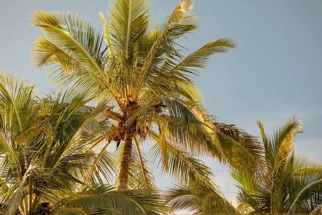 Netanya Noosa - Dış Mekan