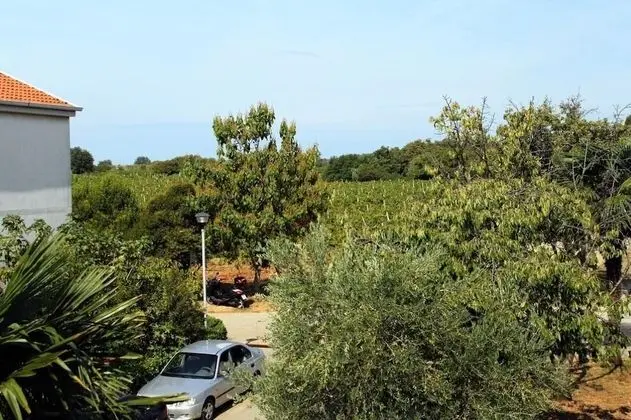 Neva - Great Location - A3 Prvi kat do Ulice - Öne Çıkan Resim
