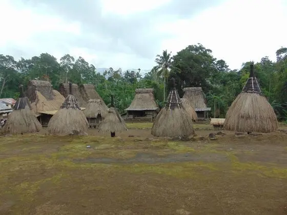 New Bintang Bajawa