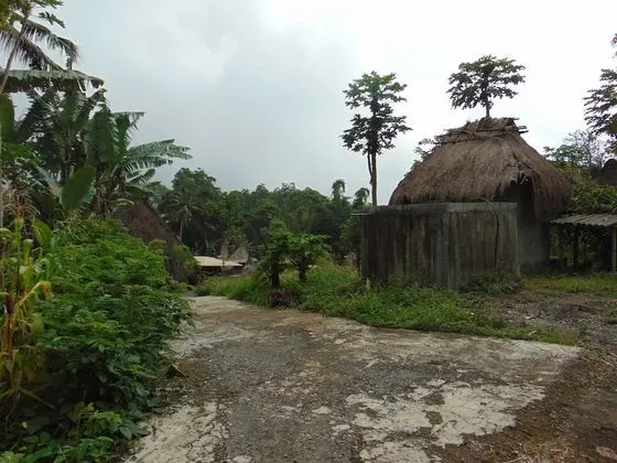 New Bintang Bajawa - Dış Mekan