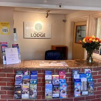 New Forest Lodge - Lobi