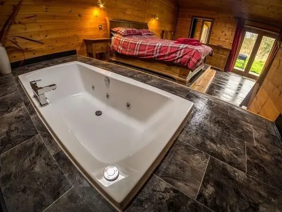 New Forest Lodges - Genel