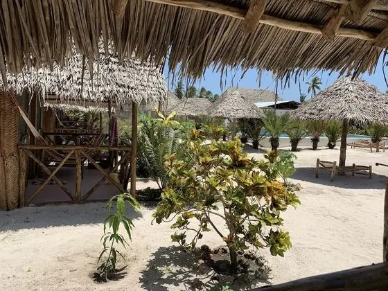 New Jambo Bungalows - Dış Mekan
