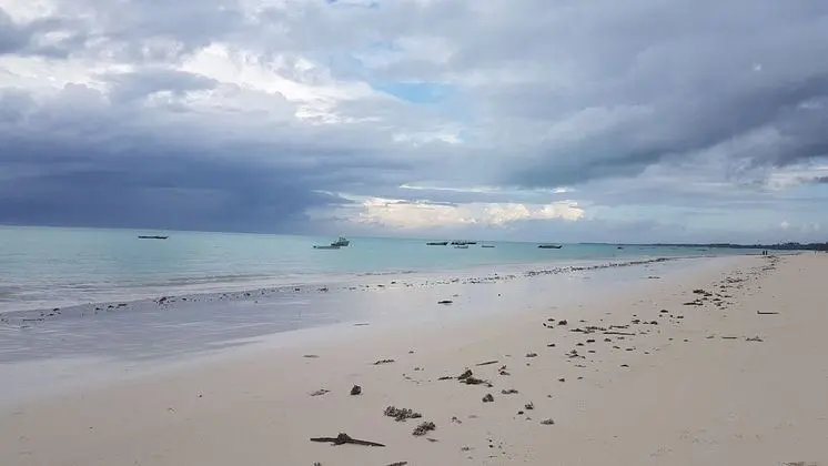New Jambo Bungalows - Plaj