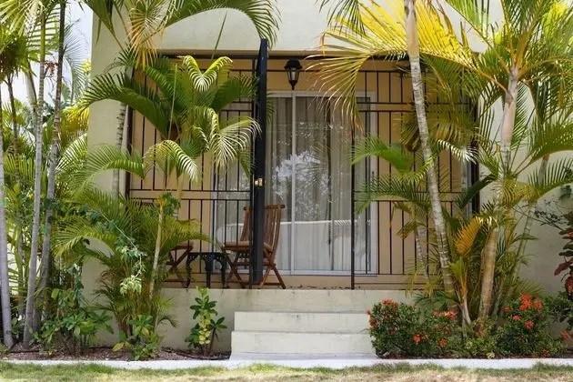 New Kingston Guest Apartment VII