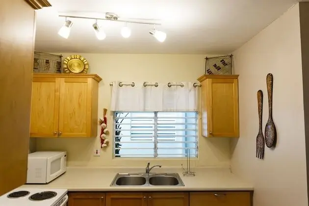 New Kingston Guest Apartment VII - Mutfak