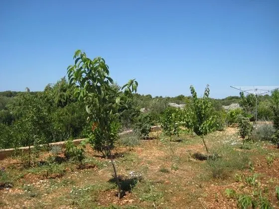New Modern House in a Quiet Island Area w. Garden - Dış Mekan