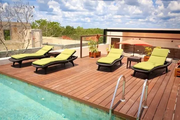New One Br Apartment for Up To 4, Grill Pool At the Common Rooftop