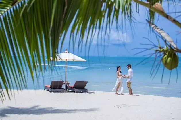 New Star Beach Resort - Plaj