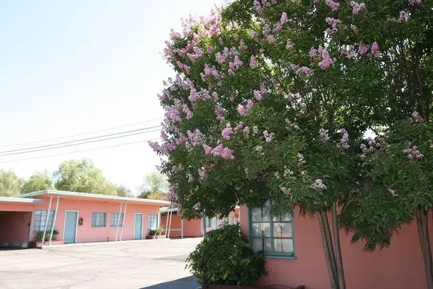 The New Star Motel (1950s Retro Lodging and Retreat Center) - Dış Mekan