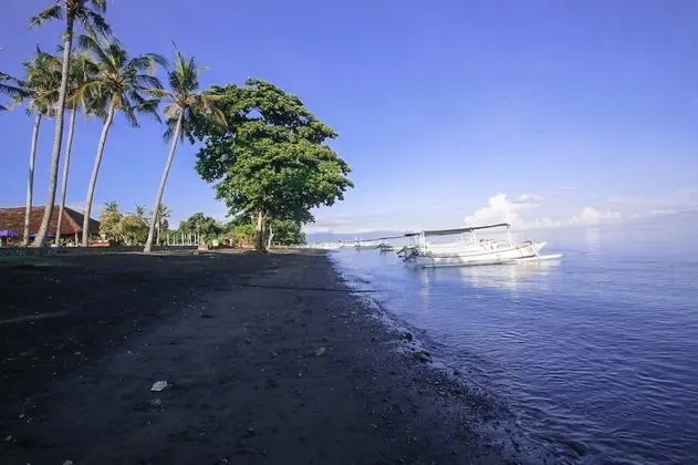 New Sunari Lovina Beach Resort - Plaj
