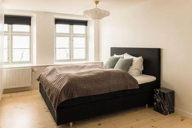 Newly Renovated Luxury Apt Heart of CPH