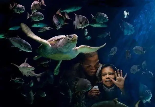 Newport News Marriott at City Center