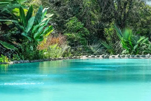 Ngare Sero Mountain Lodge - Havuz