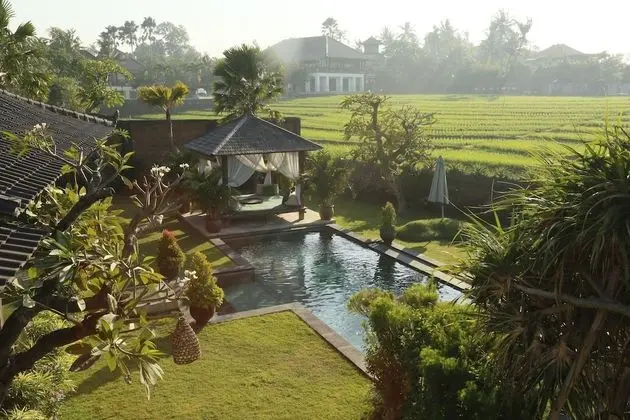 Ngeluwungan Boutique Villa - Havuz