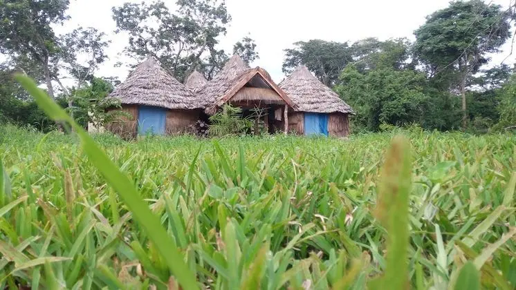 Ngerengere River Eco camp - 1