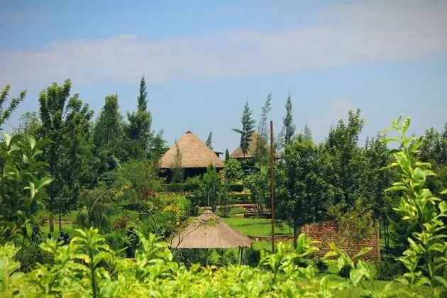 Nguge Hills Lodge & Wellness Retreat