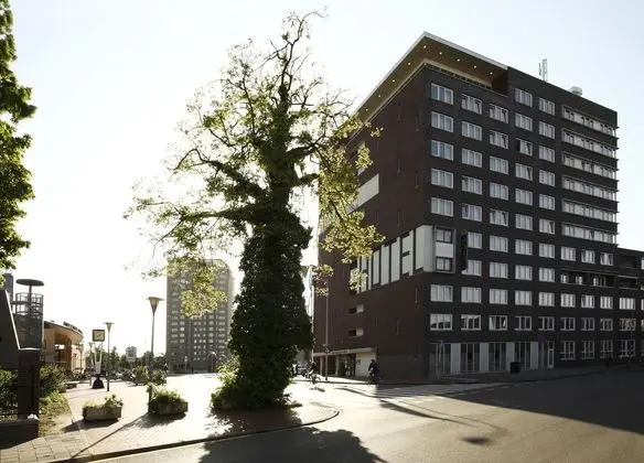 NH Groningen - Genel