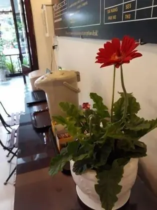 Nhi Trung Hotel - Lobi