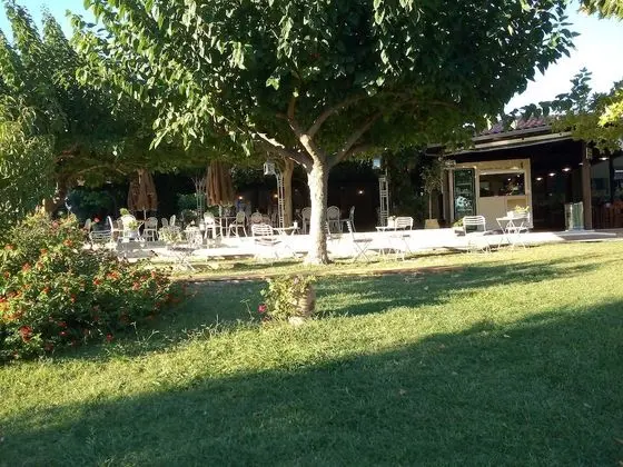 Nice Villa With Garden in Ancient Olympia, Greece - Dış Mekan