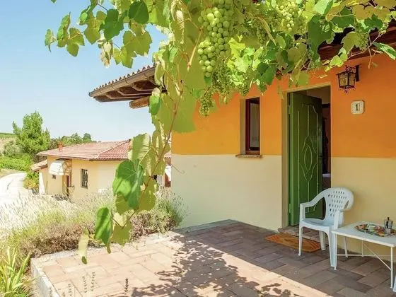 Nice and Typical Apartment in a Farm Surrounded by Hills and Vineyards