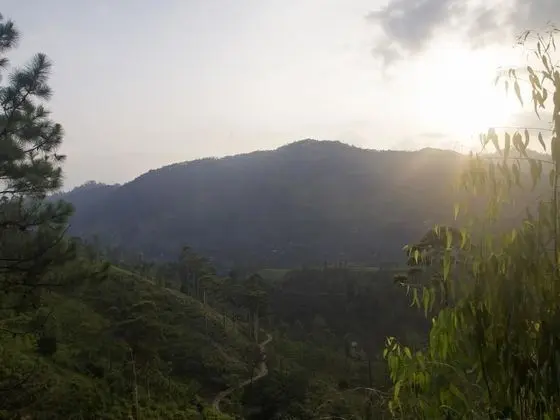 NiceView Guesthouse