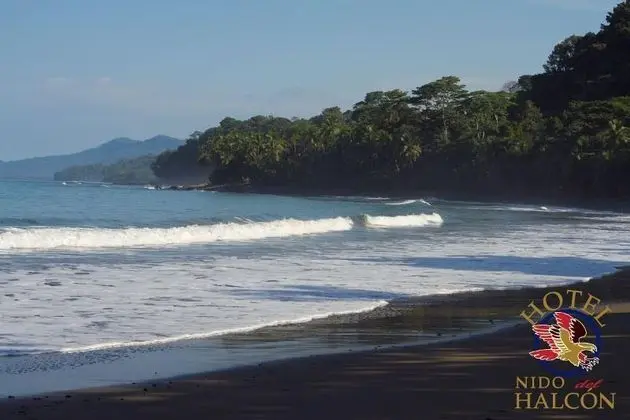 Nido del Halcon
