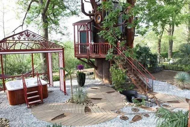 Nids d'hôtes insolites