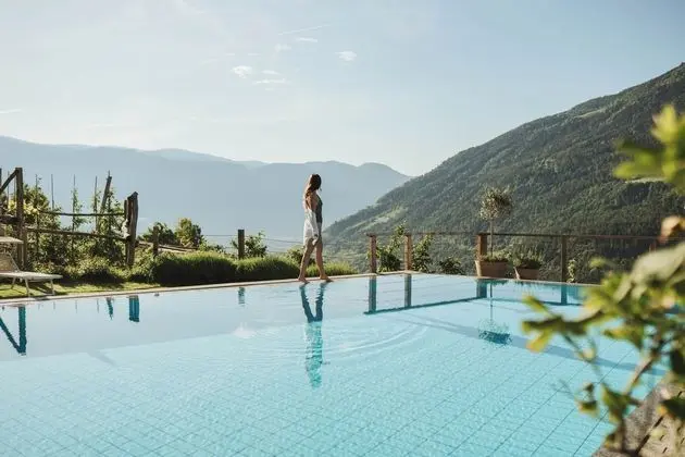 Hotel Niedermair - Havuz