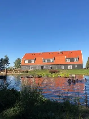 Nieuw Leven Texel - Havuz