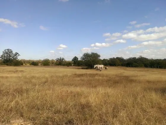 Night Bird Ranch - Dış Mekan