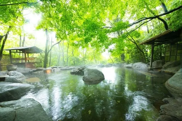 Nihon No Ashitaba