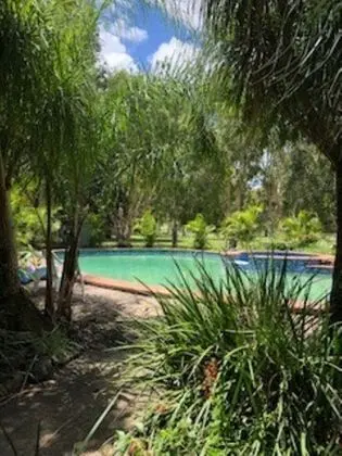 Nimbin Rocks Retreat - Havuz