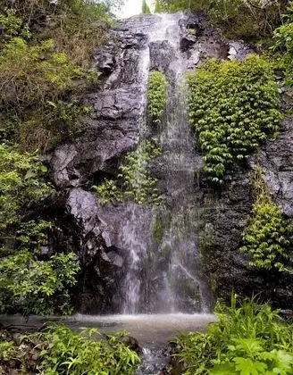 Nimbin Waterfall Retreat - Dış Mekan