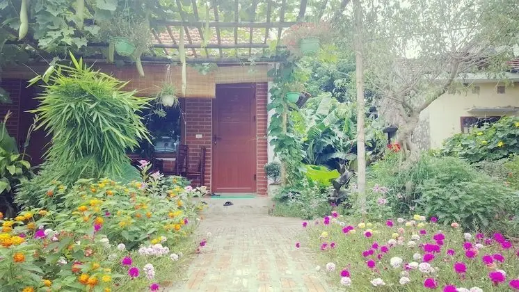 Ninh Binh Greenland Homestay - Lobi