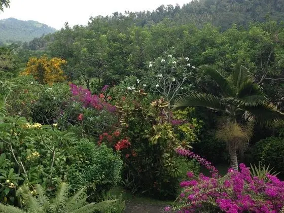 Nirarta Centre for Living Awareness - Dış Mekan