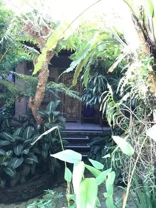 Nirvana Pension - Dış Mekan