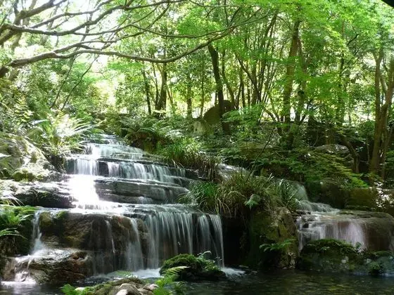 Nishimuraya Hotel Shogetsutei - Dış Mekan