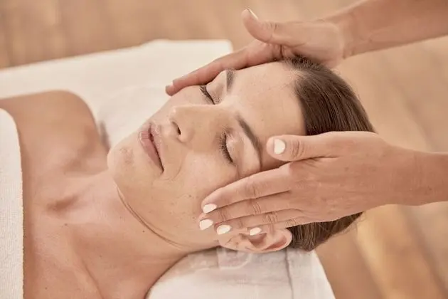 Nivia Born Boutique Hotel - Spa