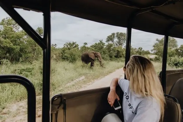Nkambeni Safari Camp - Öne Çıkan Resim