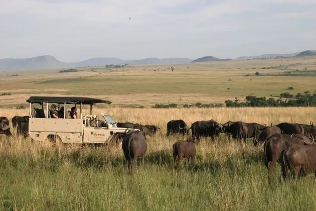 Nkomazi Game Reserve