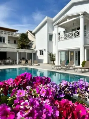 Villa No:44 - Genel