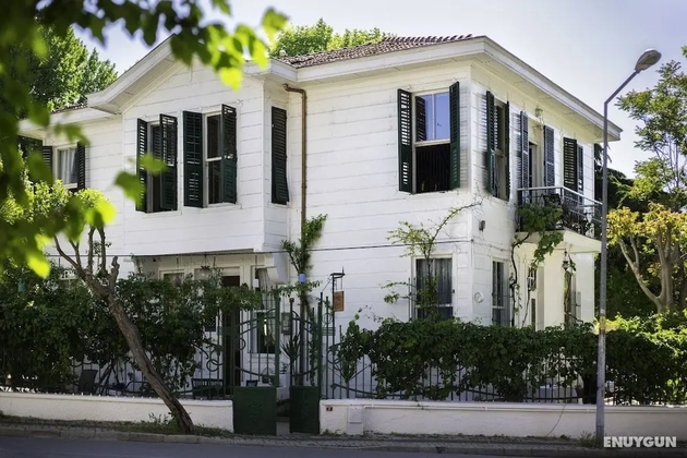 No16 BüyükadaFotoğrafı